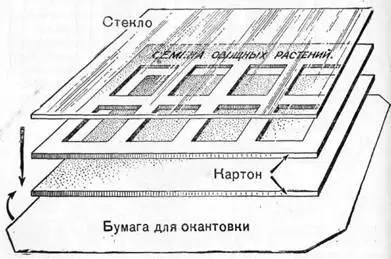 Рис 18 Окантовка под стекло в окошках Смажьте все кантики клейстером один - фото 18