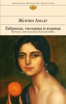 Жоржи Амаду - Габриэла, гвоздика и корица