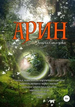 Анюта Соколова - Арин