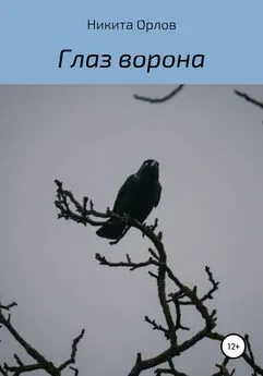 Никита Орлов - Глаз ворона