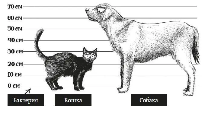 Но это заключение к которому нас подводят числа снова противоречит нашему - фото 5