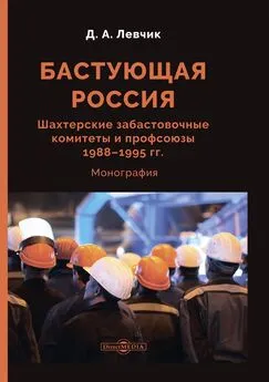 Дмитрий Левчик - Бастующая Россия. Шахтерские забастовочные комитеты и профсоюзы 1988–1995 гг.