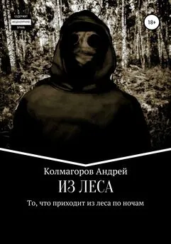 Андрей Колмагоров - Из леса