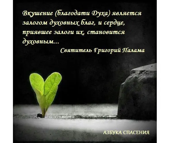 К тому же и великий Павел побуждая нас говорить Духом ходите и похоти - фото 8
