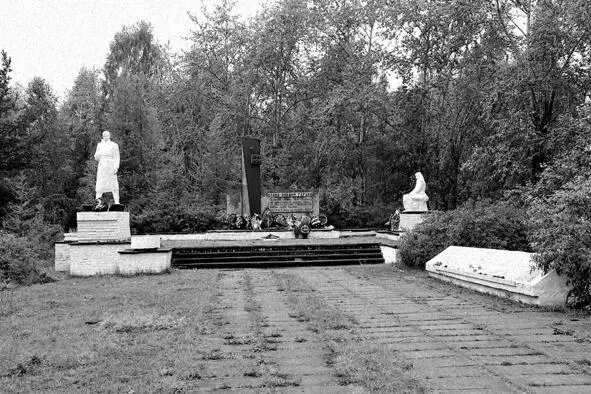 Памяти погибших за Родину Иду задумчиво меж русых я берёз Кукует мне - фото 3