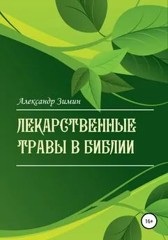 Александр Зимин - Лекарственные травы в Библии