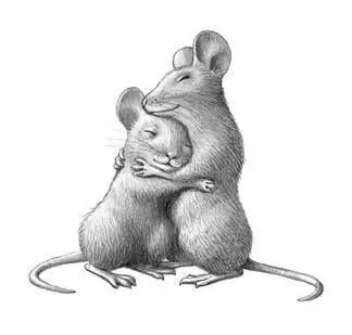 Лиза МакМанн Морские приключения мышки Клариссы Биллу и Чаку с любовью - фото 1