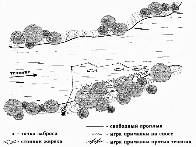 Рис 29 Приемы облавливания перспективных мест стоянок жереха После - фото 37