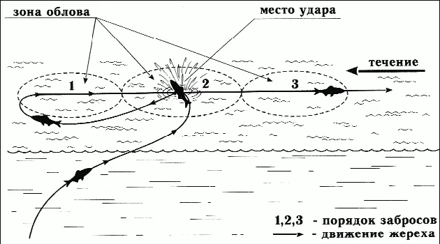 Рис 33 Наиболее типичные движения жереха после удара всплеска и порядок - фото 41