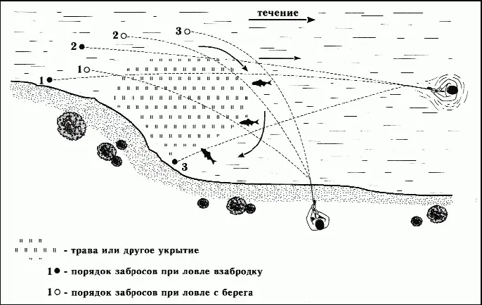 Рис 44 Порядок забросов при ловле язя с берега и взабродку Начинающие - фото 55