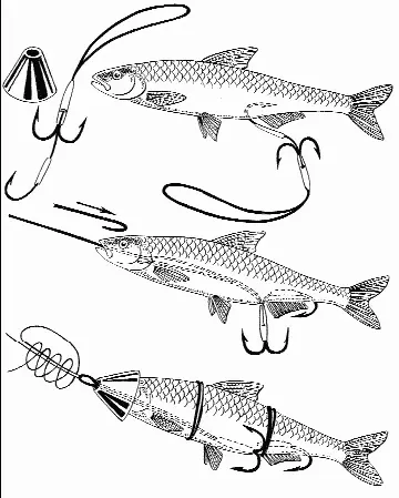 Рис 84 Конструкции снасточек для насаживания мертвых рыбок Наиболее удачными - фото 96