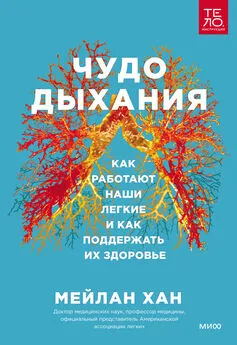 Мейлан Хан - Чудо дыхания. Как работают наши легкие и как поддержать их здоровье