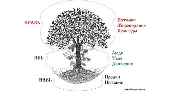 3a8e5trinitypng В Ведах описано что человек состоит из пяти элементов Этот - фото 4