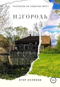 Егор Куликов - Изгородь