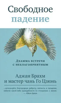 Аджан Брахм - Свободное падение. Дхамма встречи с неблагоприятным