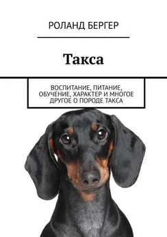 Роланд Бергер - Такса. Воспитание, питание, обучение, характер и многое другое о породе такса