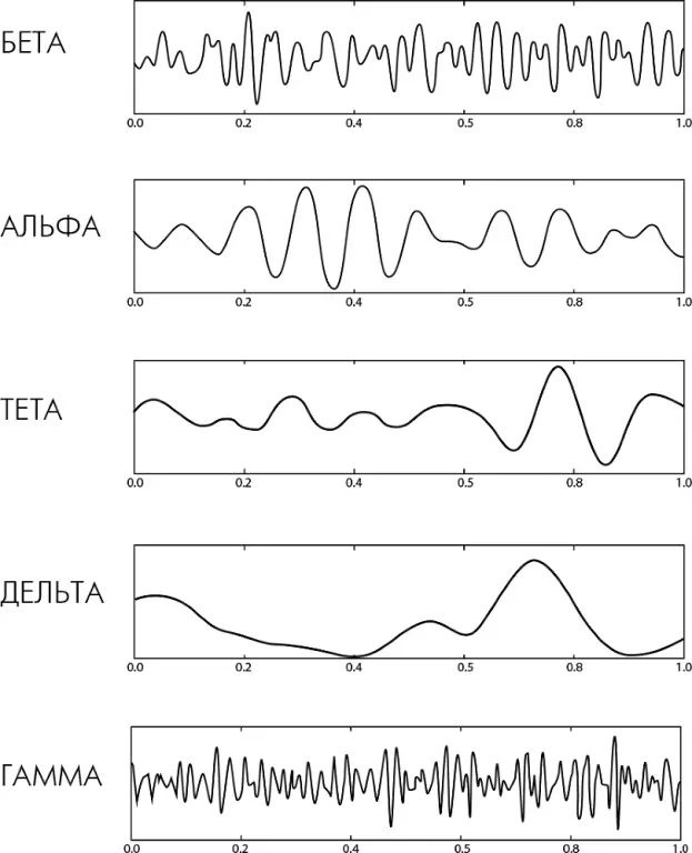 Рис 1 Электромагнитное поле мозга Бетаволныфиксируются при повседневном - фото 1