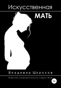 Владимир Шорохов - Искусственная мать