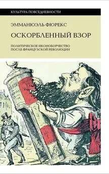 Эмманюэль Фюрекс - Оскорбленный взор. Политическое иконоборчество после Французской революции