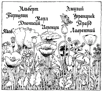 Альберт Бартолин Карл Дионисий Эмилий Франциск Герард Иероним Якоб - фото 48