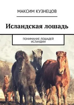 Максим Кузнецов - Исландская лошадь. Понимание лошадей Исландии