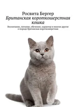 Росвита Бергер - Британская короткошерстная кошка. Воспитание, питание, обучение, характер и многое другое о породе британская короткошерстная