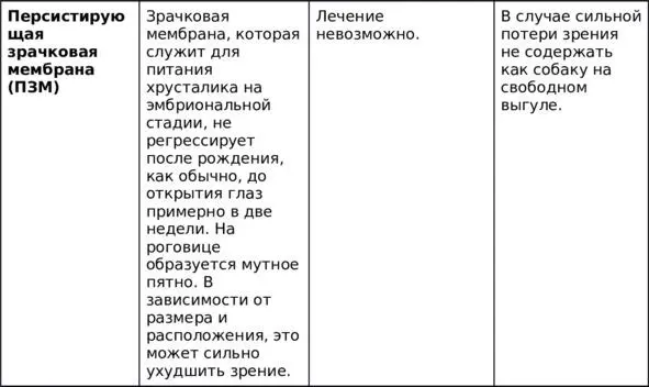 ХАРАКТЕР БЕНГАЛЬСКОЙ КОШКИ Это неправда что бенгальских кошек трудно - фото 4