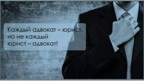 Из квартиры известного московского адвоката похищен говорящий попугай - фото 7