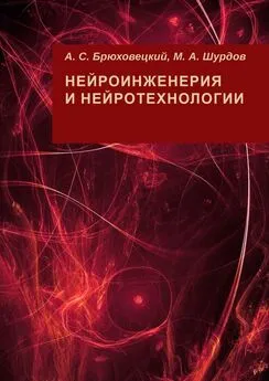 А. Брюховецкий - Нейроинженерия и нейротехнологии
