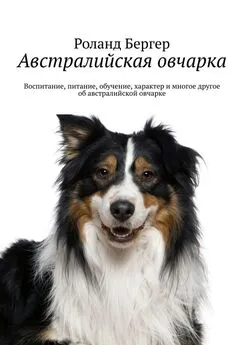 Роланд Бергер - Австралийская овчарка. Воспитание, питание, обучение, характер и многое другое об австралийской овчарке