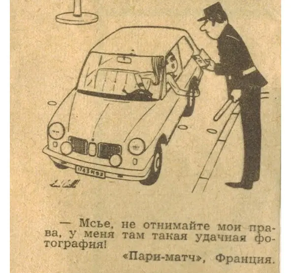 13 июня Я тут недавно узнала что все пингвины моногамны И это меня не - фото 12