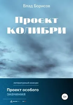 Влад Борисов - Проект Колибри