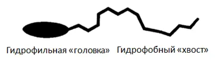 Увеличивают смачиваемость поверхности за счет уменьшения поверхностного - фото 18