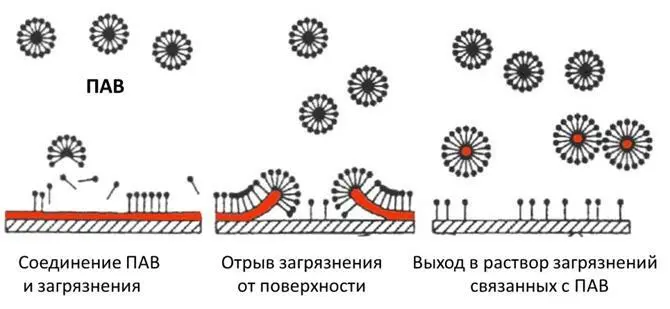 Удерживают ухаживающие компоненты на поверхности Образуют пену Водородный - фото 20