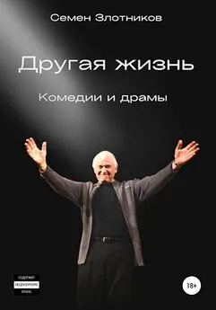 Семен Злотников - Другая жизнь