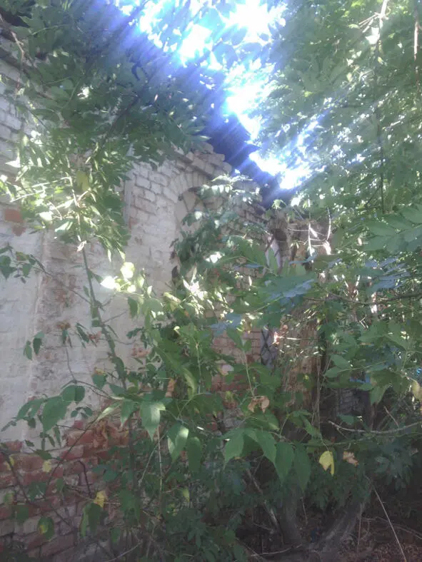 Руины мастерских комунхоза рядом с местом где располагалась чайная В книге - фото 8
