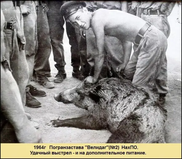 Коровье молоко шло ночным нарядам Иногда рыбачили бреднем в Араксе Местные - фото 64