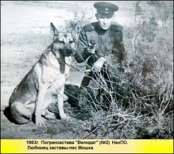 Эту кухню на питомнике использовали фотографы для тайной печати снимков а - фото 65