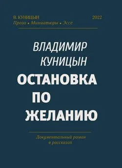 Владимир Куницын - Остановка по желанию