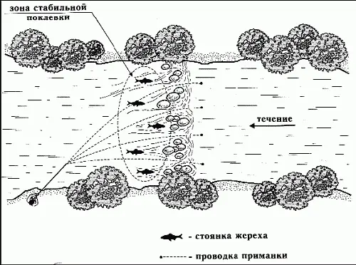 Рис 35 Порядок облова жереха после переката Поэтому приманки забрасывают в - фото 43