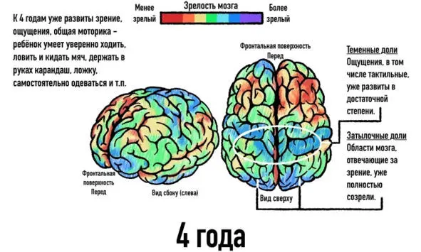 Какие выводы можно сделать из этого Основной вывод нам взрослым тем кто - фото 11