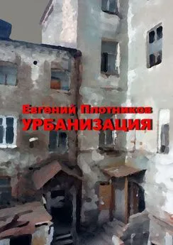 Евгений Плотников - Урбанизация