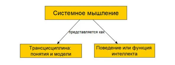 Первое представление как трансдисциплины подразумевается что системное - фото 4