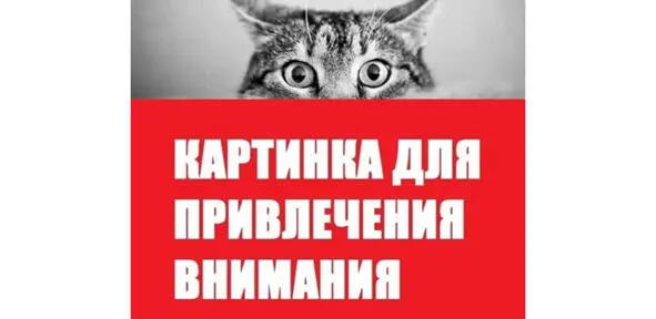 Если человек не управляет своим вниманием то значит его вниманием управляет - фото 18