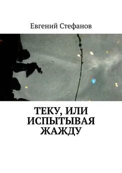 Евгений Стефанов - Теку, или Испытывая жажду