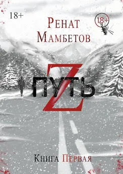 Ренат Мамбетов - Путь Z. Книга первая