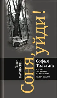 Павел Басинский - Соня, уйди! Софья Толстая: взгляд мужчины и женщины