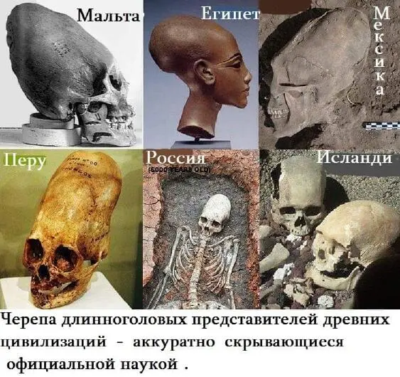 Они особенно в ранние периоды своей истории были в состоянии общаться с - фото 2