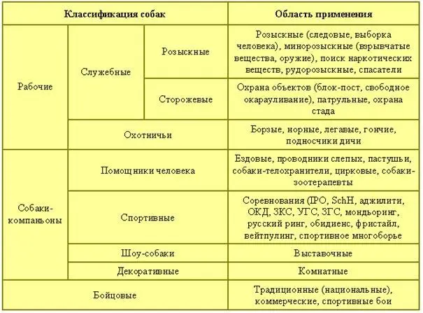 Первые школы были созданы в Германии спустя несколько лет они появились и в - фото 2