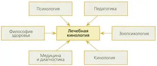 Состояние здоровья нельзя сводить только к измерению биологических параметров - фото 3